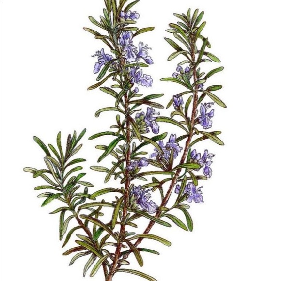 Meet your Posher, Nina - Picture 1 of 1